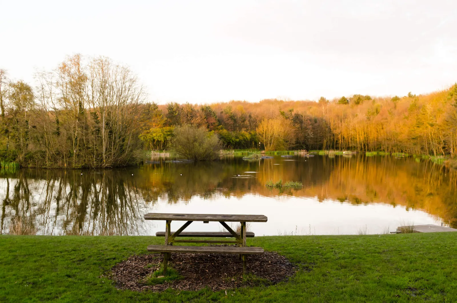 A Picnic Table Overlooking Pattinson South Pond, within James Steel Park, Washington, Tyne & Wear